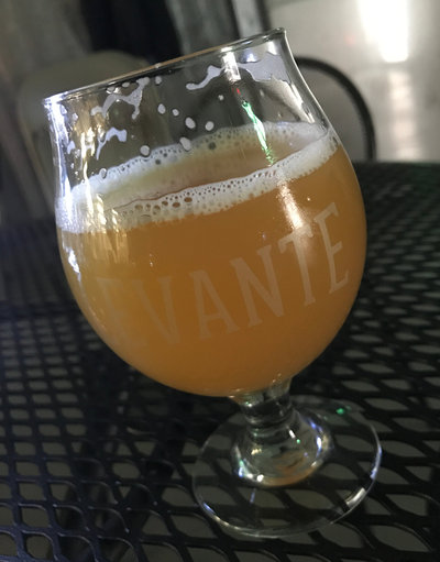 Levante South Pacific Hop Cartel on draft