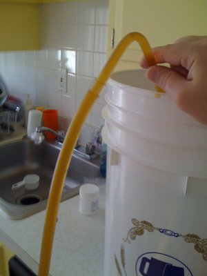 Beer Siphon