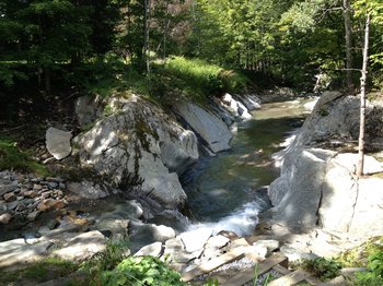 The stream behind The Warren Store