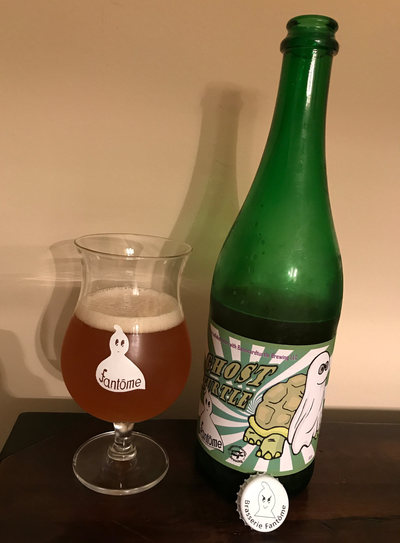 Fantome Ghost Turtle