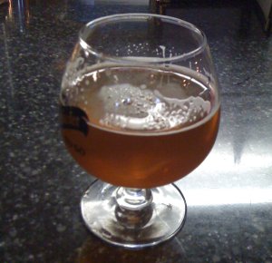 Dogfish Head 120 Minute IPA