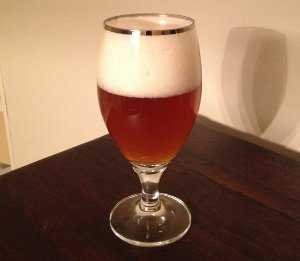 Homebrew Saison